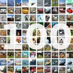 Image Classification